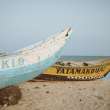 Senegal na wakacje – plaże, przyroda i najciekawsze miejsca do odwiedzenia